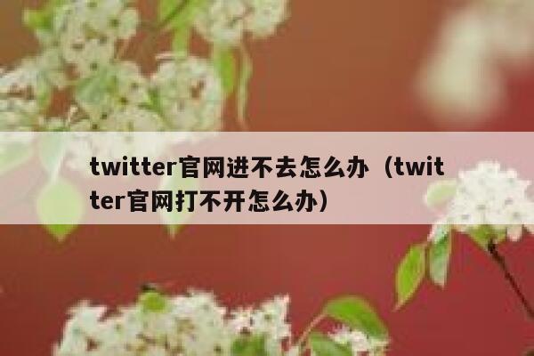 twitter官网进不去怎么办（twitter官网打不开怎么办） 第1张