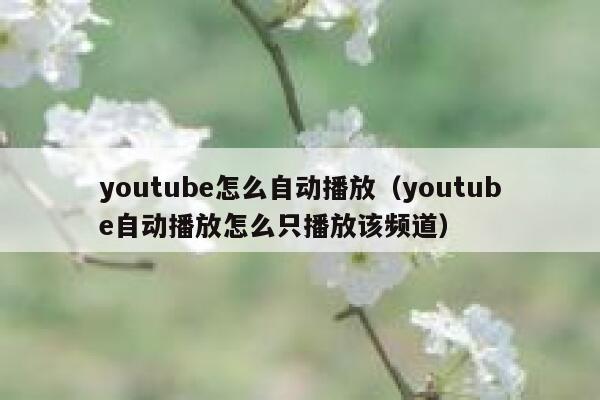 youtube怎么自动播放（youtube自动播放怎么只播放该频道） 第1张