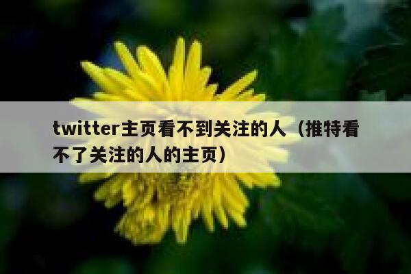 twitter主页看不到关注的人（推特看不了关注的人的主页） 第1张