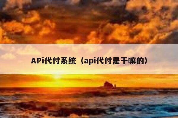 APi代付系统（api代付是干嘛的） 第1张