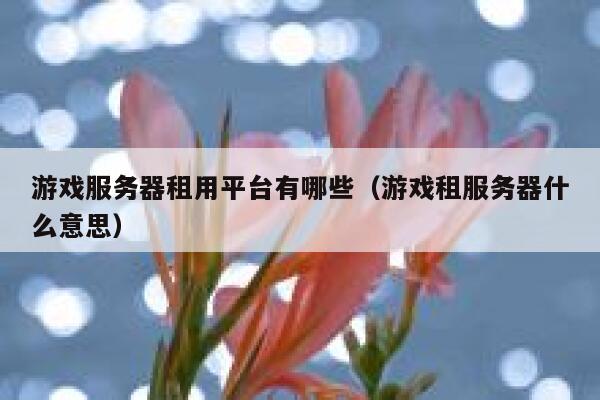 游戏服务器租用平台有哪些（游戏租服务器什么意思） 第1张