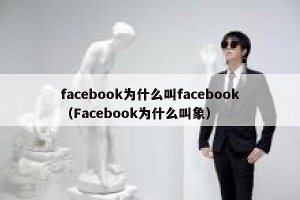 facebook为什么叫facebook（Facebook为什么叫象） 第1张