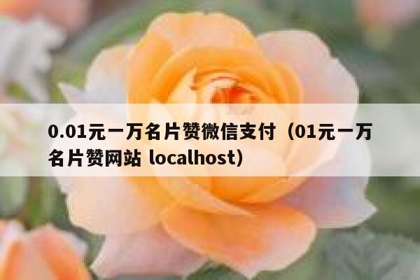 0.01元一万名片赞微信支付（01元一万名片赞网站 localhost） 第1张
