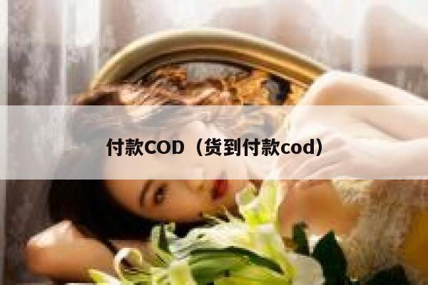 付款COD（货到付款cod） 第1张