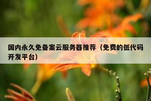 国内永久免备案云服务器推荐（免费的低代码开发平台） 第1张