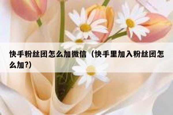 快手粉丝团怎么加微信（快手里加入粉丝团怎么加?） 第1张