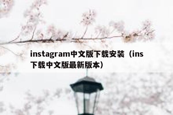 instagram中文版下载安装（ins下载中文版最新版本） 第1张