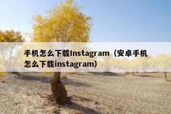手机怎么下载Instagram（安卓手机怎么下载instagram） 第1张
