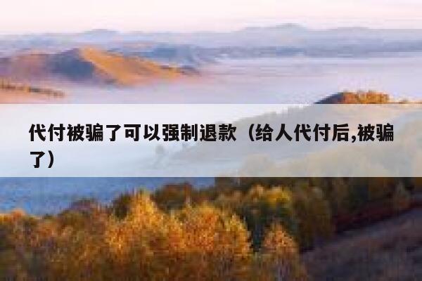 代付被骗了可以强制退款（给人代付后,被骗了） 第1张