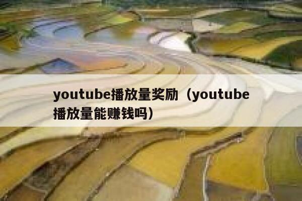 youtube播放量奖励（youtube播放量能赚钱吗） 第1张