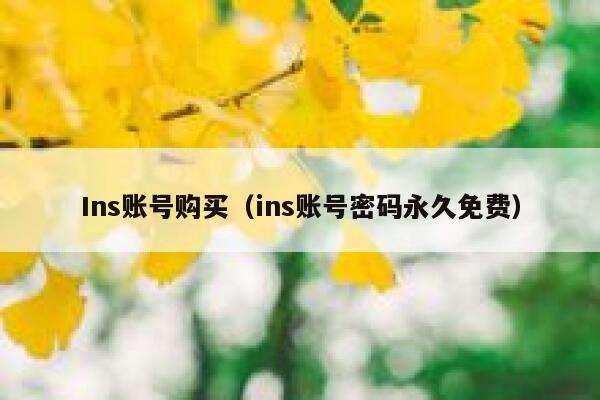 Ins账号购买（ins账号密码永久免费） 第1张