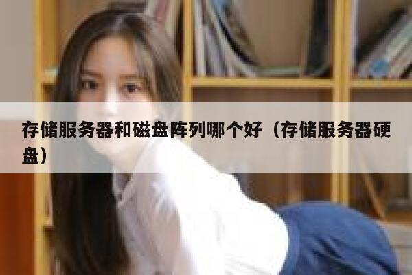 存储服务器和磁盘阵列哪个好（存储服务器硬盘） 第1张