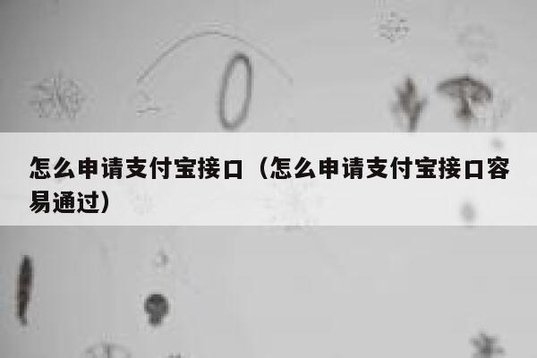 怎么申请支付宝接口（怎么申请支付宝接口容易通过） 第1张
