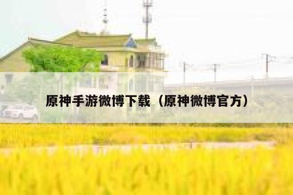 原神手游微博下载（原神微博官方） 第1张