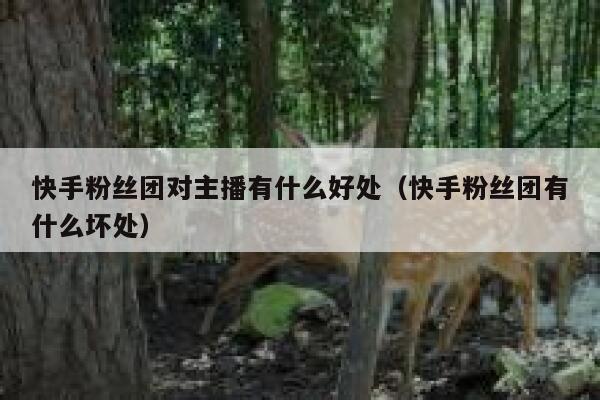 快手粉丝团对主播有什么好处（快手粉丝团有什么坏处） 第1张
