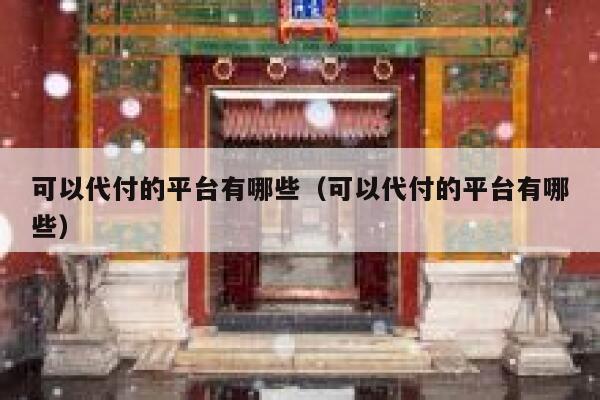 可以代付的平台有哪些（可以代付的平台有哪些） 第1张