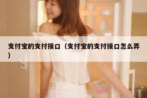 支付宝的支付接口（支付宝的支付接口怎么弄） 第1张