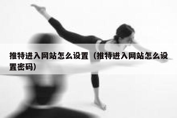 推特进入网站怎么设置（推特进入网站怎么设置密码） 第1张