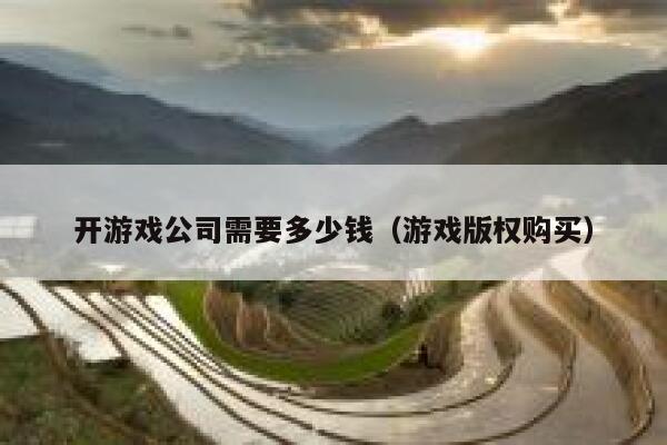 开游戏公司需要多少钱（游戏版权购买） 第1张