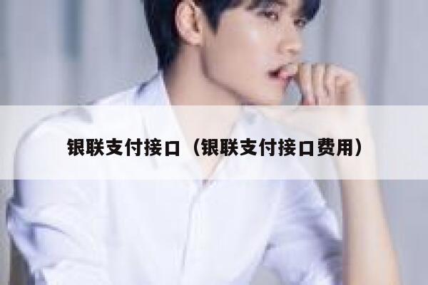 银联支付接口（银联支付接口费用） 第1张