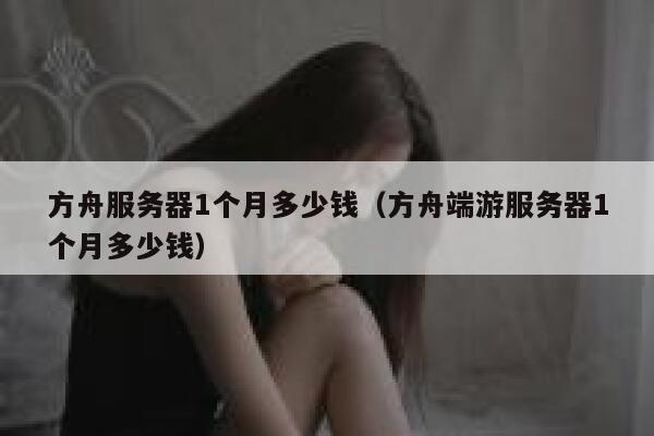 方舟服务器1个月多少钱(方舟端游服务器1个月多少钱) 第1张 方舟服务器1个月多少钱(方舟端游服务器1个月多少钱) 第1张