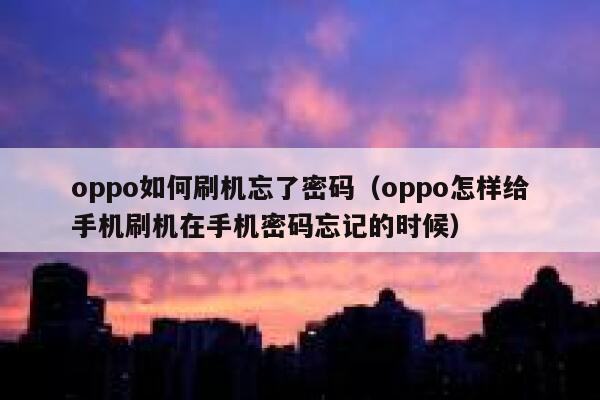 oppo如何刷机忘了密码(oppo怎样给手机刷机在手机密码忘记的时候) 第1张 oppo如何刷机忘了密码(oppo怎样给手机刷机在手机密码忘记的时候) 第1张