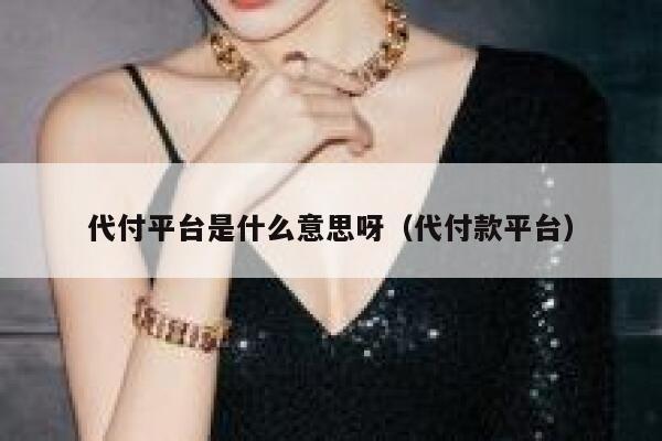 代付平台是什么意思呀（代付款平台） 第1张