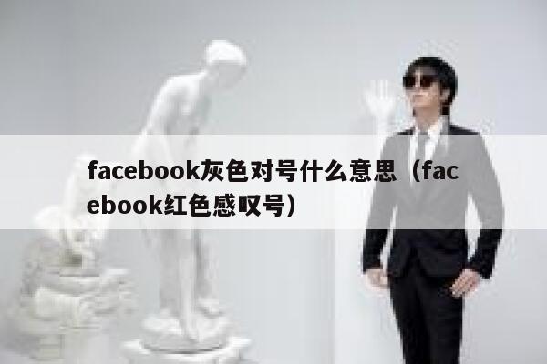 facebook灰色对号什么意思(facebook红色感叹号) 第1张 facebook灰色对号什么意思(facebook红色感叹号) 第1张