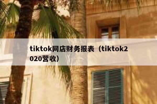 tiktok网店财务报表（tiktok2020营收） 第1张