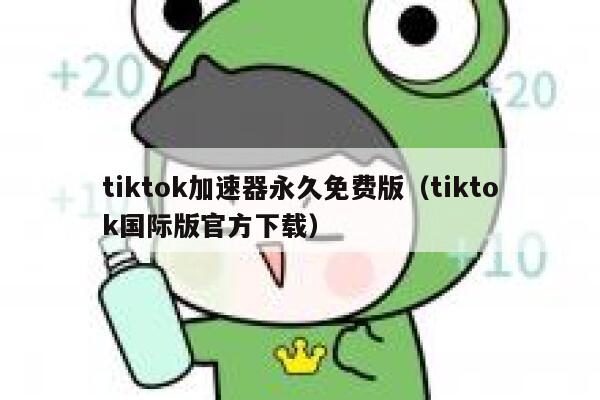 tiktok加速器永久免费版（tiktok国际版官方下载） 第1张