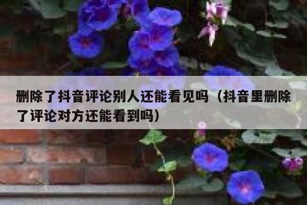 删除了抖音评论别人还能看见吗（抖音里删除了评论对方还能看到吗） 第1张