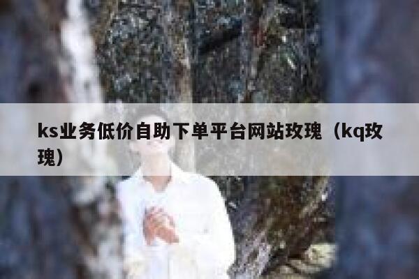 ks业务低价自助下单平台网站玫瑰（kq玫瑰） 第1张