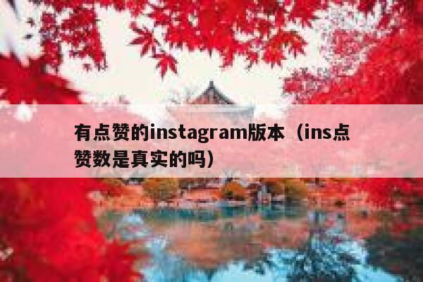 有点赞的instagram版本（ins点赞数是真实的吗） 第1张