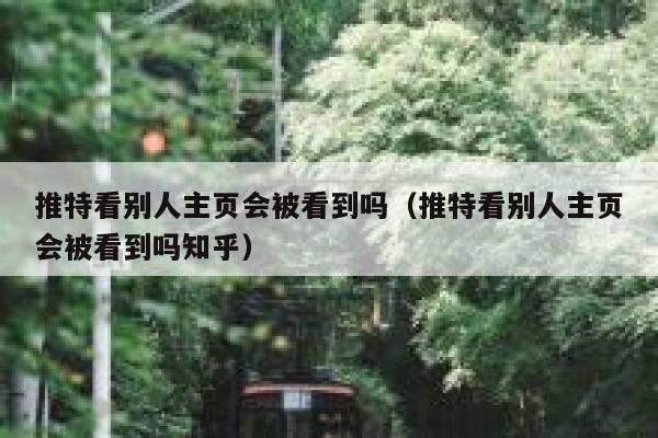 推特看别人主页会被看到吗（推特看别人主页会被看到吗知乎） 第1张