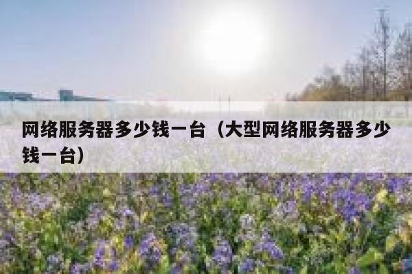 网络服务器多少钱一台（大型网络服务器多少钱一台） 第1张