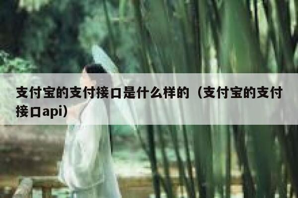 支付宝的支付接口是什么样的（支付宝的支付接口api） 第1张