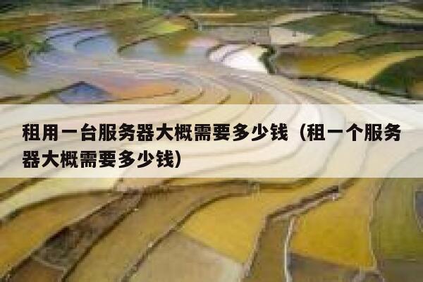 租用一台服务器大概需要多少钱（租一个服务器大概需要多少钱） 第1张