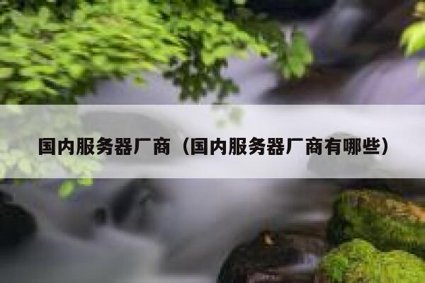 国内服务器厂商（国内服务器厂商有哪些） 第1张