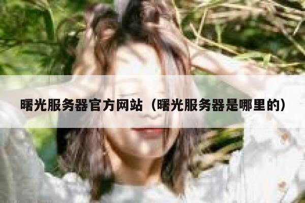 曙光服务器官方网站（曙光服务器是哪里的） 第1张