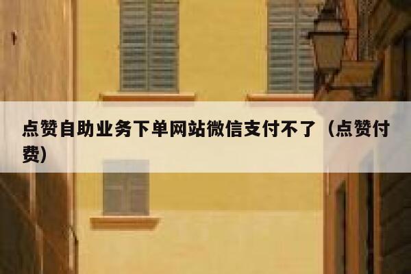 点赞自助业务下单网站微信支付不了（点赞付费） 第1张