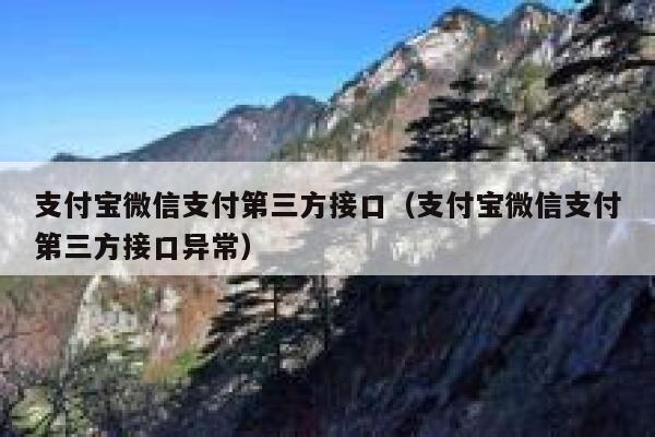支付宝微信支付第三方接口（支付宝微信支付第三方接口异常） 第1张