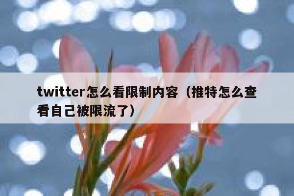 twitter怎么看限制内容（推特怎么查看自己被限流了） 第1张