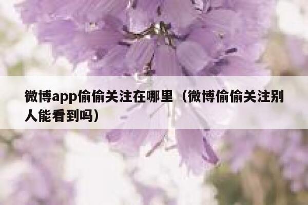 微博app偷偷关注在哪里（微博偷偷关注别人能看到吗） 第1张