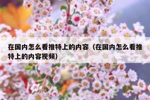 在国内怎么看推特上的内容（在国内怎么看推特上的内容视频） 第1张