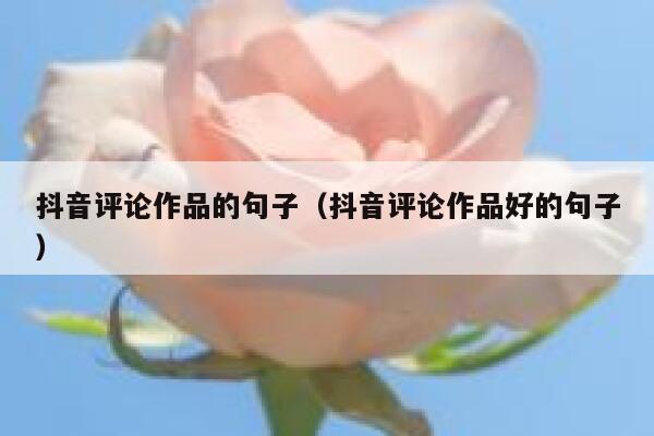 抖音评论作品的句子（抖音评论作品好的句子） 第1张