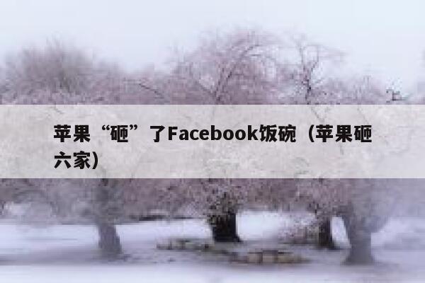 苹果“砸”了Facebook饭碗（苹果砸六家） 第1张