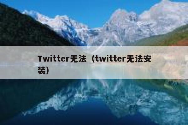 Twitter无法（twitter无法安装） 第1张