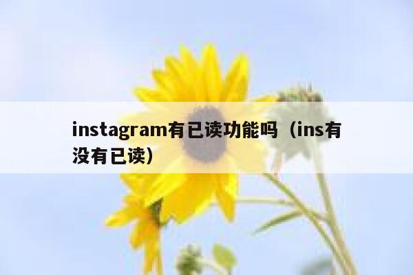 instagram有已读功能吗（ins有没有已读） 第1张