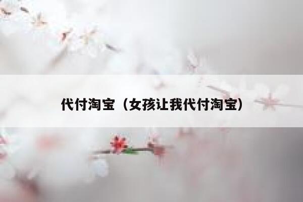 代付淘宝（女孩让我代付淘宝） 第1张
