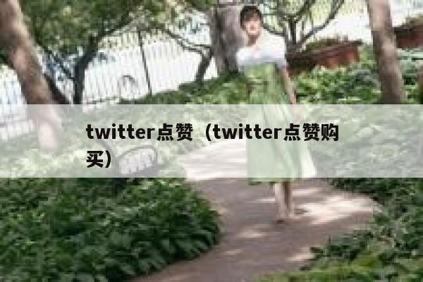 twitter点赞（twitter点赞购买） 第1张